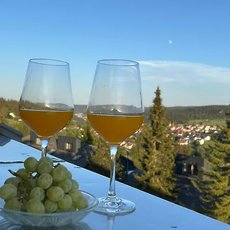 „schwarzwaldtraum - Maisonette Mit Zwei Terrassen & Panoramabalkon Im Schwarzwald アパート ショナッハ