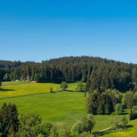 Apartamento „schwarzwaldtraum - Maisonette Mit Zwei Terrassen & Panoramabalkon Im Schwarzwald